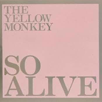 THE YELLOW MONKEY　LIVEDVDまとめて THE YELLOW MONKEY LIVEDVDまとめて